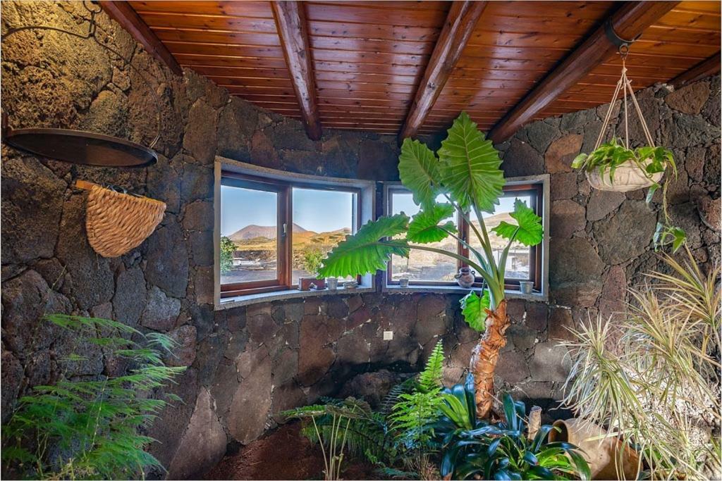 Villa Eloisa Tinajo Exteriör bild